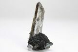 Quartz Crystals On Sparkling Bladed Hematite - Lechang Mine #225997-1